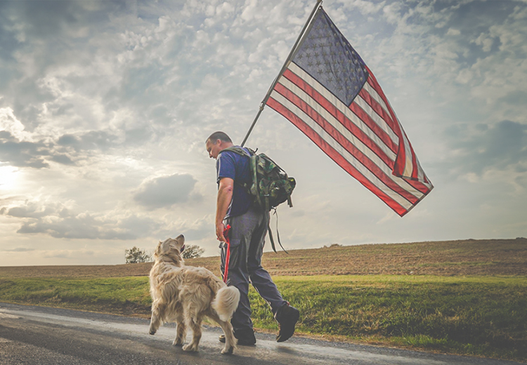Empowering veterans at Warrior Canine Connection